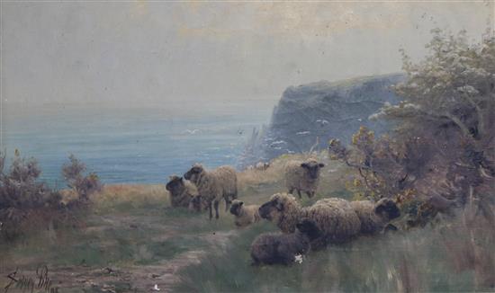 Sidney Pike, oil on canvas, Sheep on cliff tops, signed and dated 93, 24 x 40cm